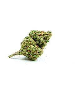 Chronic Autoflower Marijuana Seeds