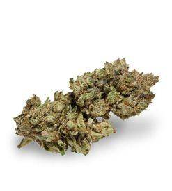 Habiba ® Marijuana Seeds