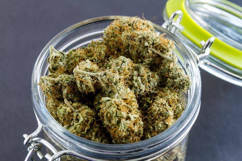 Cannabis stored in a jar