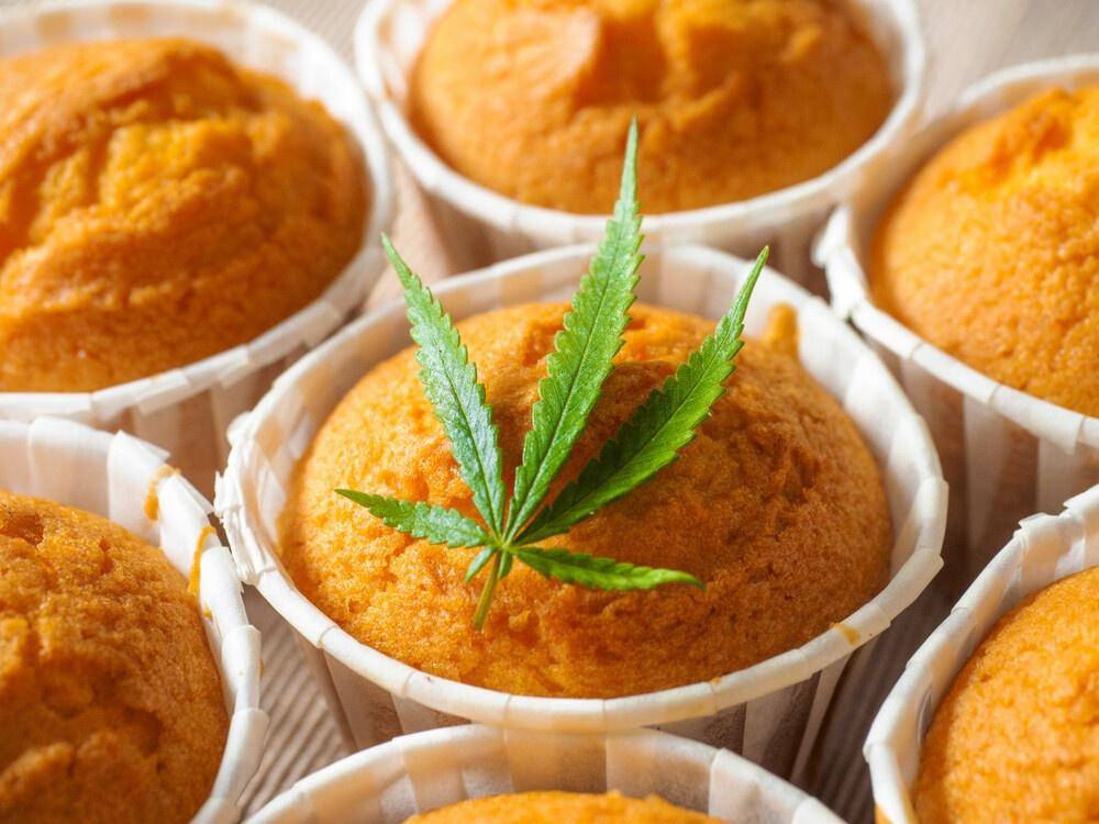 cannabis muffins
