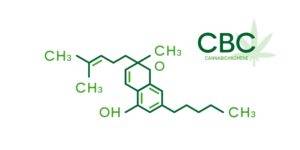 cbc the third cannabinoid