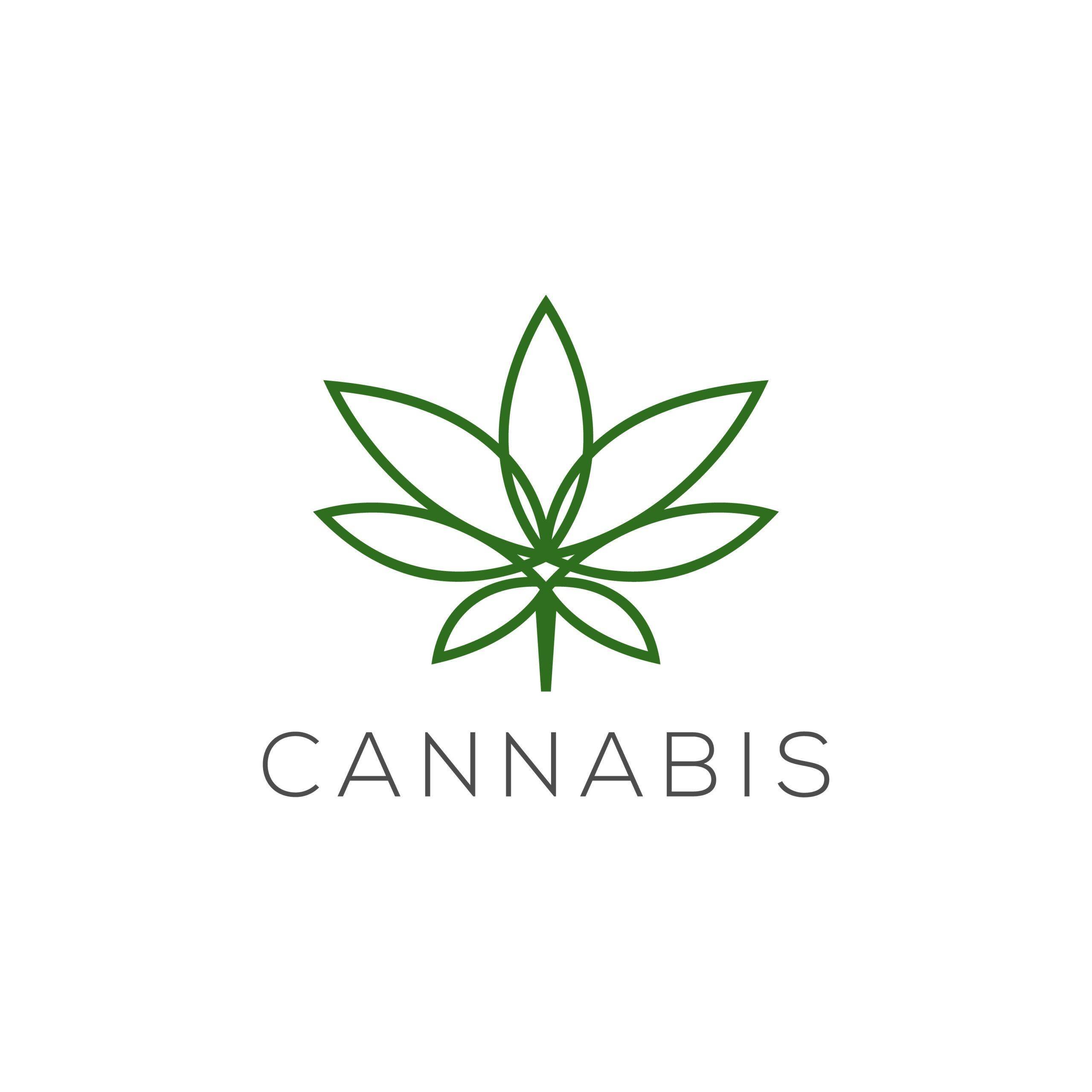 You are currently viewing Why to your Clean Grow room