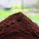 Coffee Grounds As Fertilizer For Cannabis