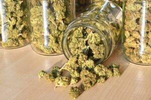 Storing cannabis in jar