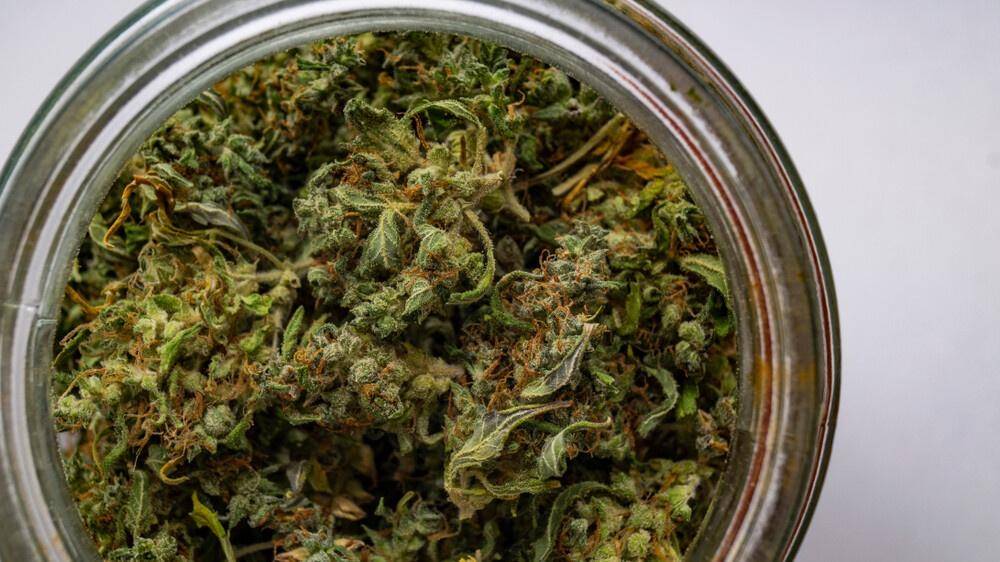 Cannabis in an airtight jar