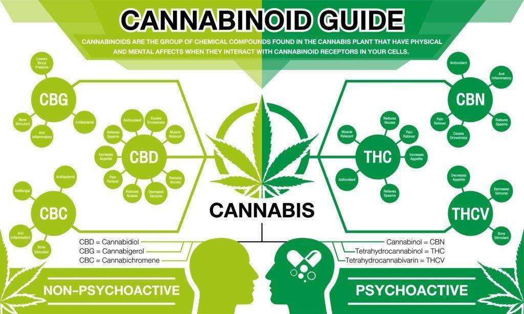 cannabinoids cannabis