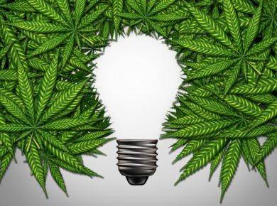 cannabis and creativity
