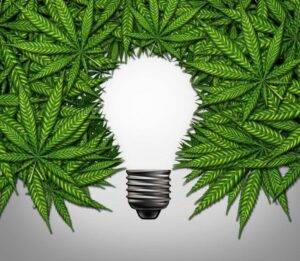cannabis and creativity