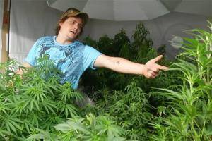 Tom farmer marijuana expert