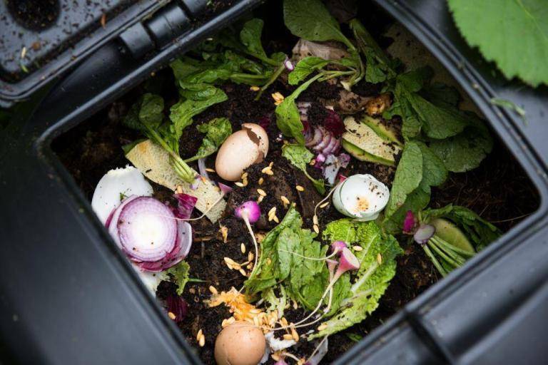 Organic fertilizer compost bin
