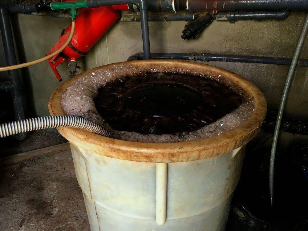 Brewing compost tea