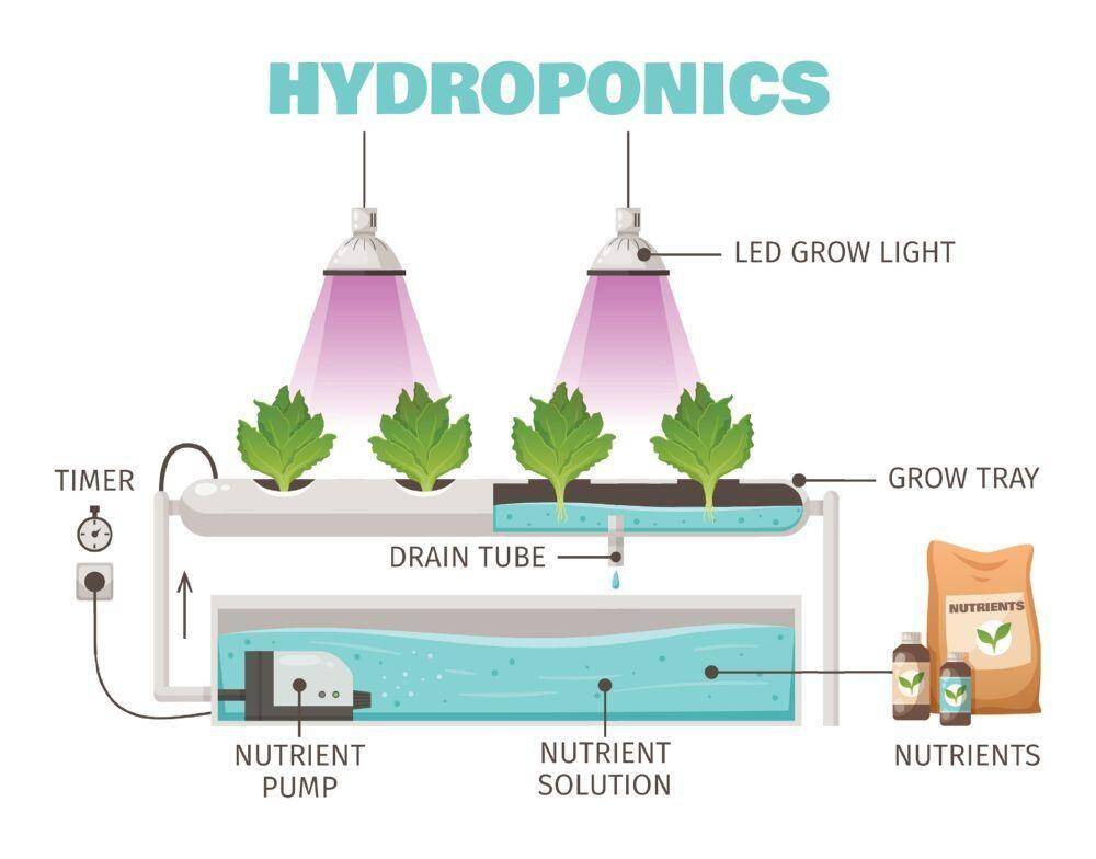 What is hydroponics