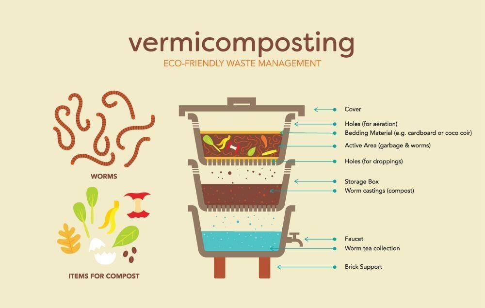 What is vermicomposting?