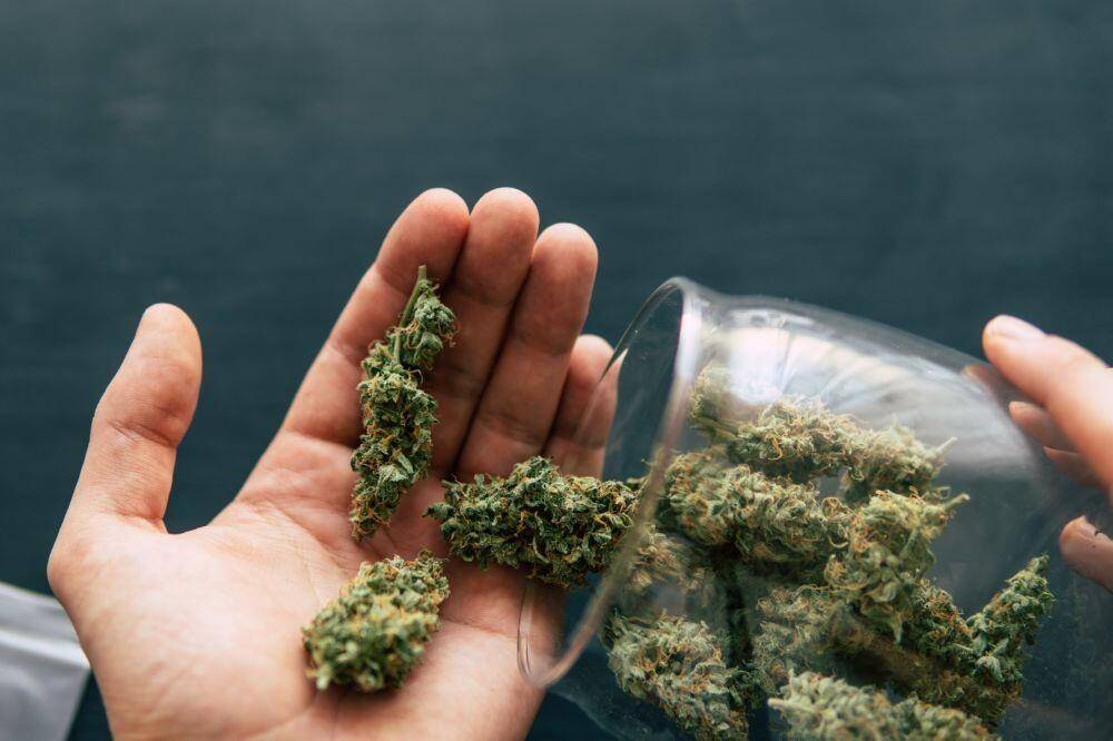 You are currently viewing How To Make Weed Weigh More (by making buds denser)
