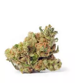 Blue Dream xtrm ® feminized