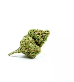 Chronic Autoflower Marijuana Seeds