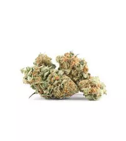 Green Crack Feminized Marijuana Seeds