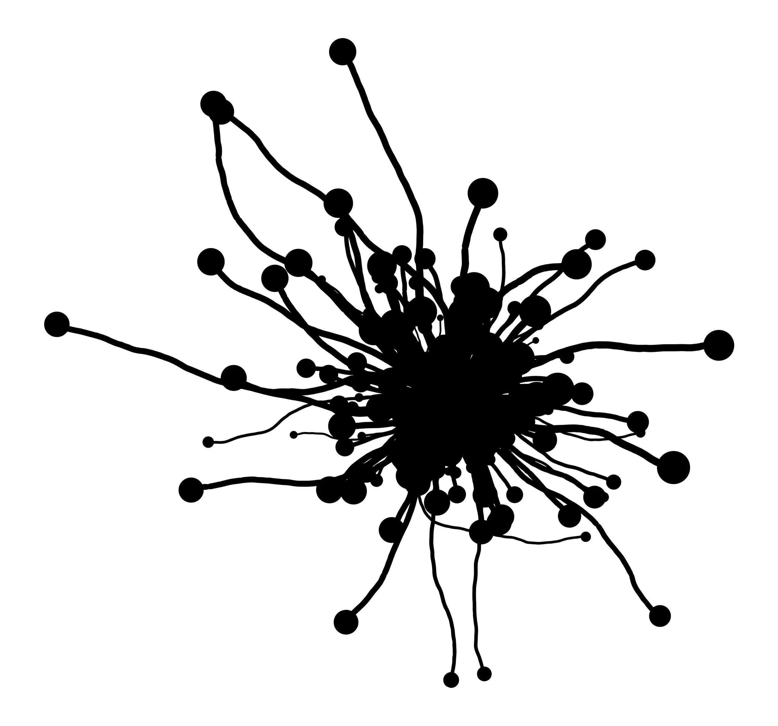 mycorrhizas-vector