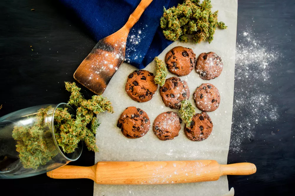 cannabis edibles