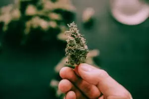 Read more about the article 3 Best methods for decarboxylation of marijuana in 2023