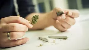 Read more about the article How To Make Hashish