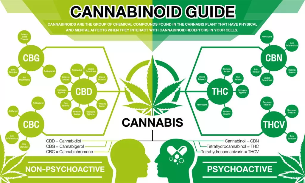 cannabinoids cannabis