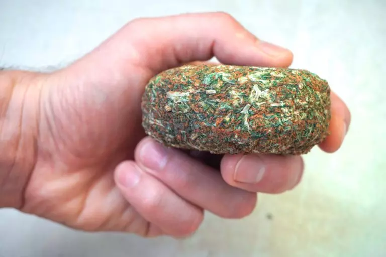 Brick Weed