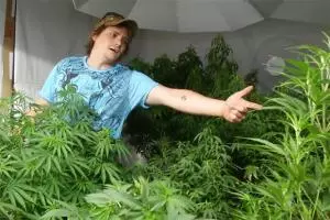 Tom farmer marijuana expert