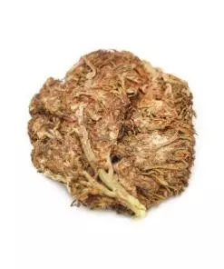 OG Mass Feminized Marijuana Seeds