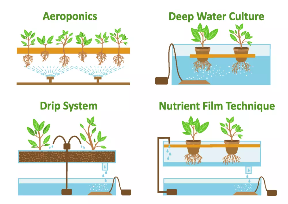 Hydroponics methodes