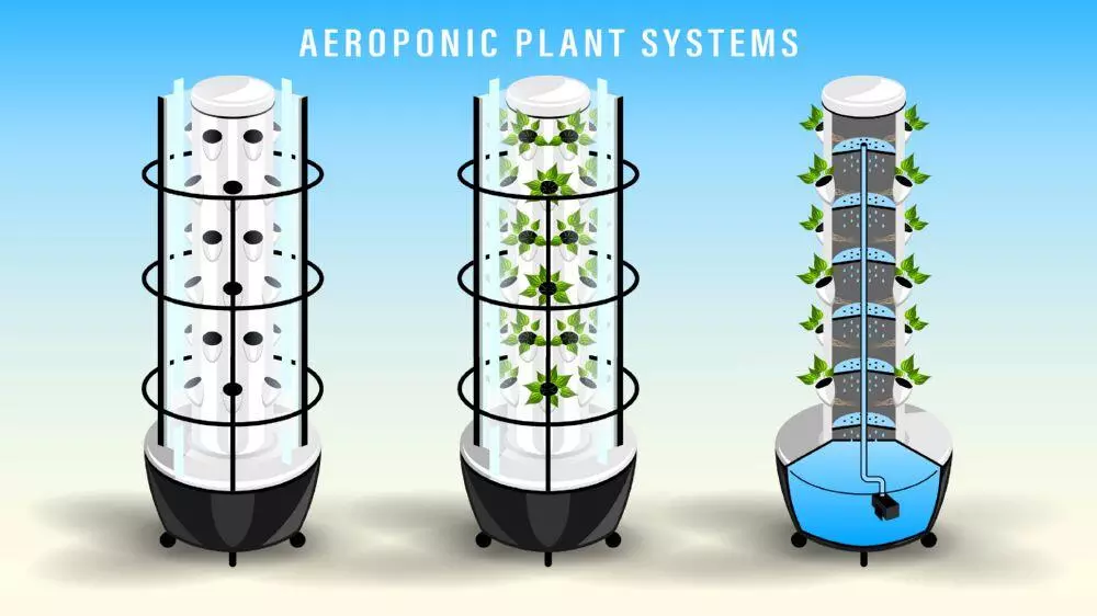 Aeroponics explained