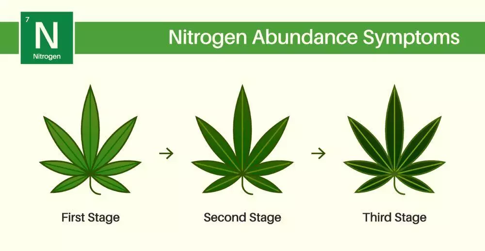 Nitrogen toxicity