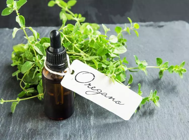 Oregano oil