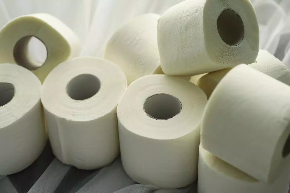 Toilet paper rolls